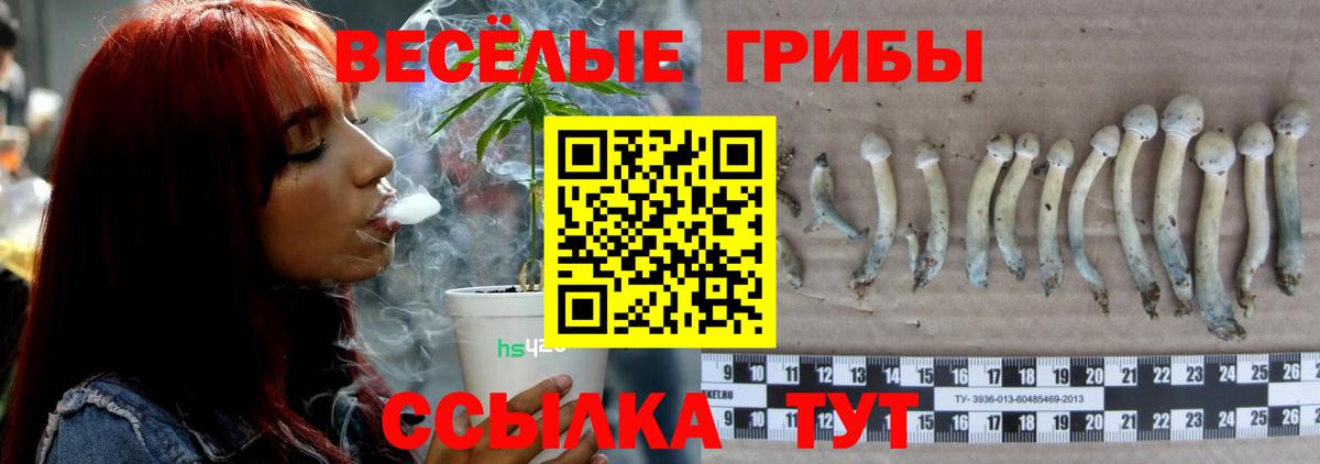 Псилоцибиновые грибы прущие грибы Качканар