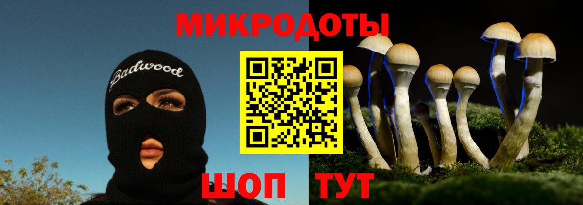 Галлюциногенные грибы MAGIC MUSHROOMS  Вход с VPN  даркнет сайт  Качканар 